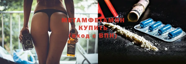 прущие грибы Балабаново