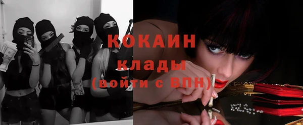 крисы Балахна
