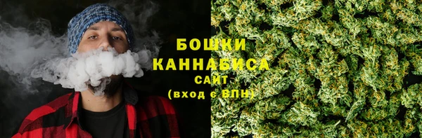прущие грибы Балабаново