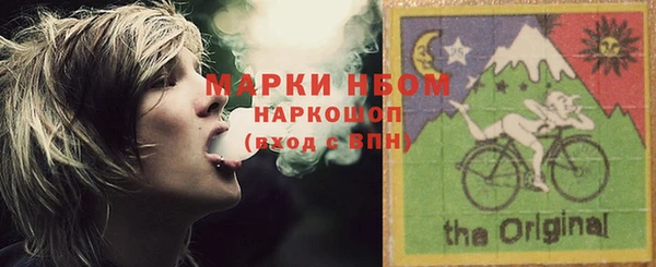 прущие грибы Балабаново