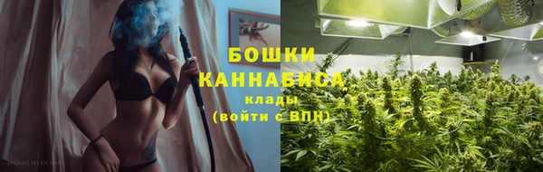 прущие грибы Балабаново