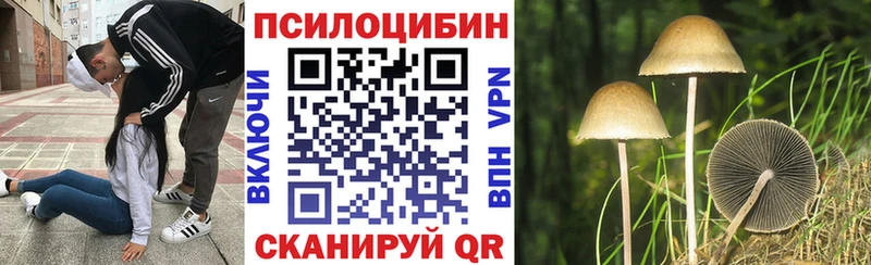 наркота  Долгопрудный  Псилоцибиновые грибы MAGIC MUSHROOMS 